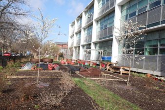 Garden space outside D.C.'s J.O. Wilson Elementary School. Photo: D.C. Public Schools