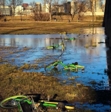 There are as many as 15,000 dockless bikes on the streets of Dallas. It's causing some issues. Photo:  LimeBike Sightings/Instagram