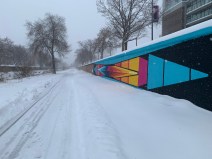 Photo of Cherry Creek multi-use path with fresh bicycle tracks in the snow (credit Kevin Williams)