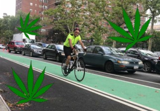 Man riding bike in green bike lane with marijuana clip art