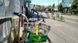 Is Pedal Dockless Bike Share Going Extinct?