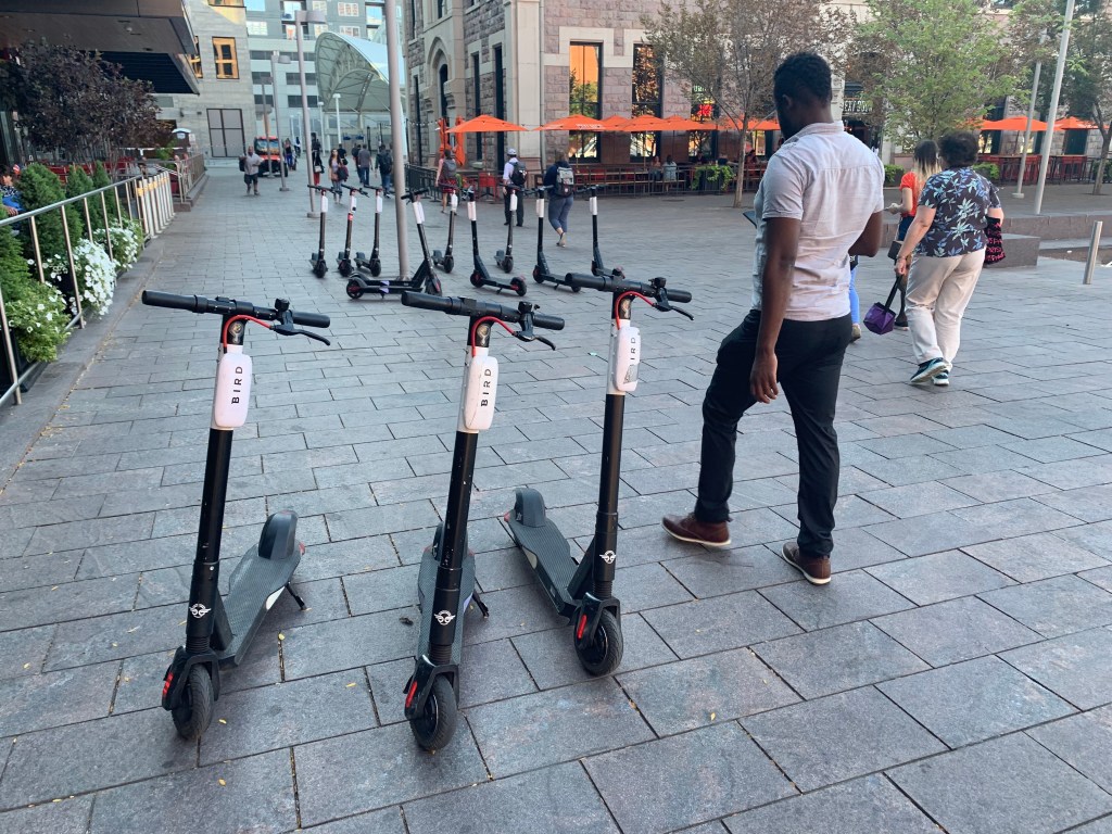 Commentary: Bird’s Invasion of Union Station Shows Need for Scooter Watchdog