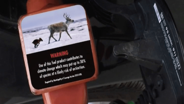 WARNING: Cars are Dangerous!