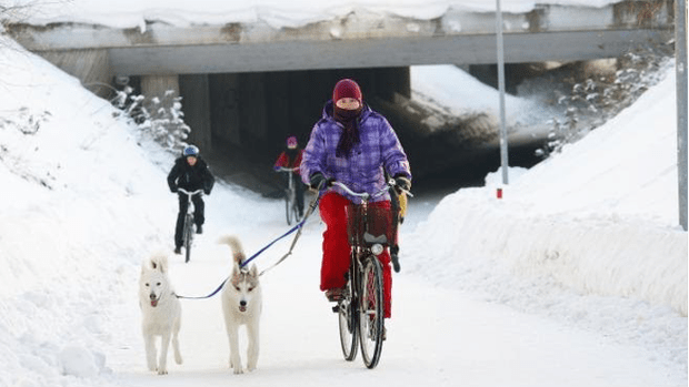 How the Dutch Do Winter Bike Lane Maintenance